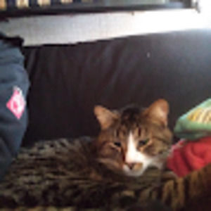 Meet your Posher, Tonia